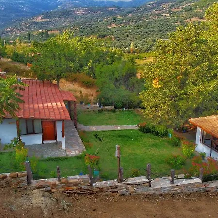 ホームステイ Alice Pansiyon Cottage House セルチュク