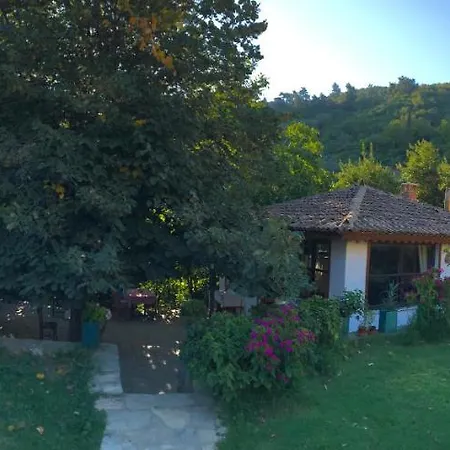 民宿 Alice Pansiyon Cottage House 塞尔丘克