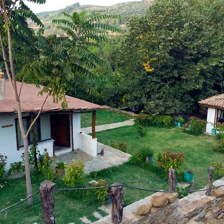 Alice Pansiyon Cottage House ホームステイ セルチュク