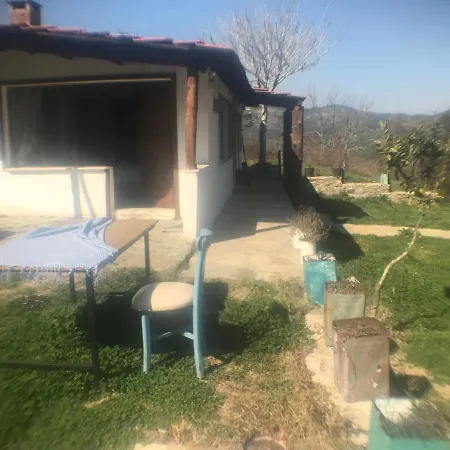 Alice Pansiyon Cottage House 民宿 塞尔丘克