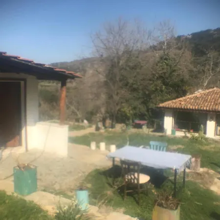 Homestay Alice Pansiyon Cottage House *