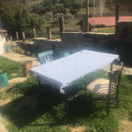 Alice Pansiyon Cottage House 塞尔丘克