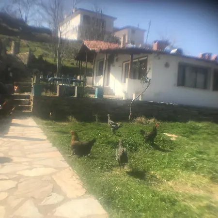 Homestay Alice Pansiyon Cottage House *