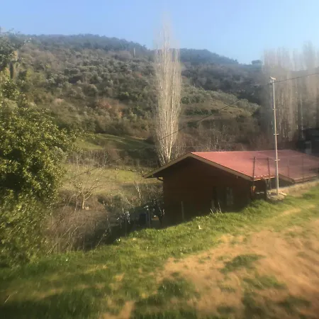 Alice Pansiyon Cottage House Homestay *
