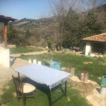 Homestay Alice Pansiyon Cottage House Selcuk