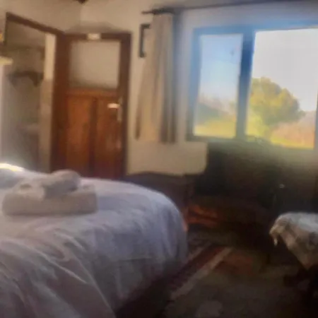 Alice Pansiyon Cottage House 民宿