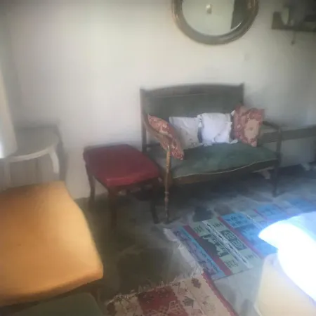 Alice Pansiyon Cottage House 民宿 塞尔丘克