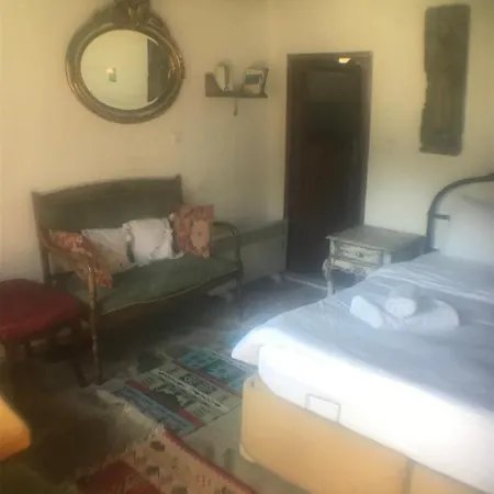 Alice Pansiyon Cottage House 民宿