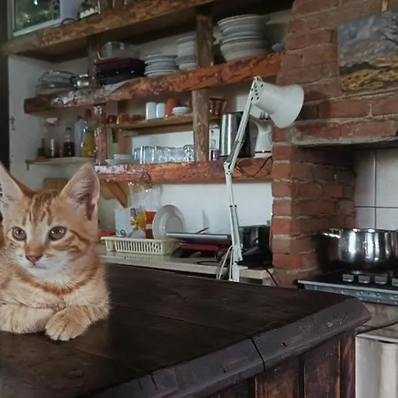 Alice Pansiyon Cottage House Homestay